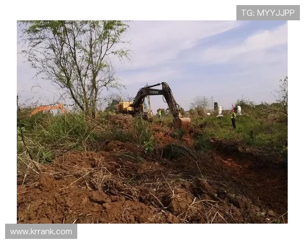 杭州滑板队边路渗透战术解析与热点发展全景探讨