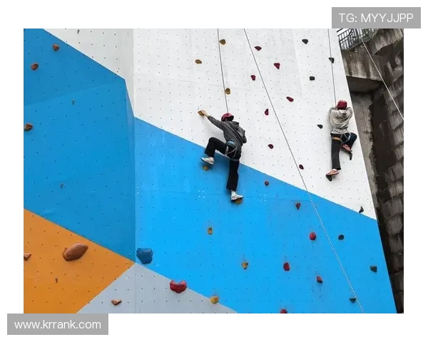 武汉攀岩队团队协作引发热议与争议的背后故事解析